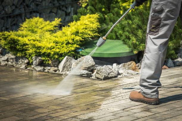 Best Pool Deck Cleaning  in Magnolia, NJ