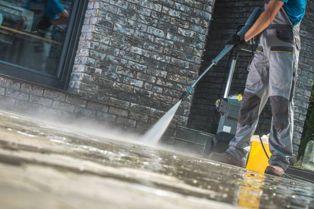 Pre-Holiday Cleaning in Magnolia, NJ