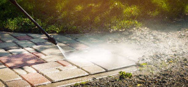 Best Patio and Deck Pressure Washing  in Magnolia, NJ