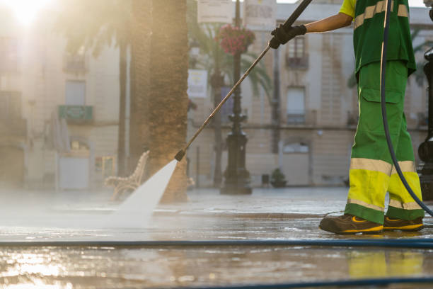 Best Gutter Cleaning  in Magnolia, NJ